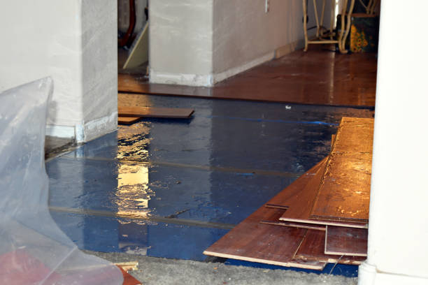Professional Basement Flood Cleanup technician working in Canyon Lake, CA